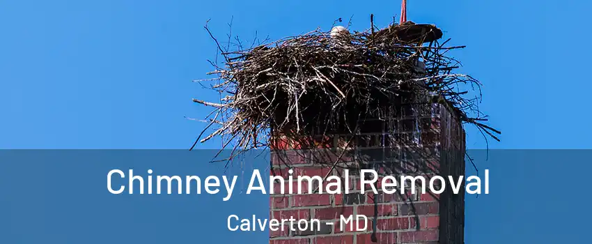 Chimney Animal Removal Calverton - MD