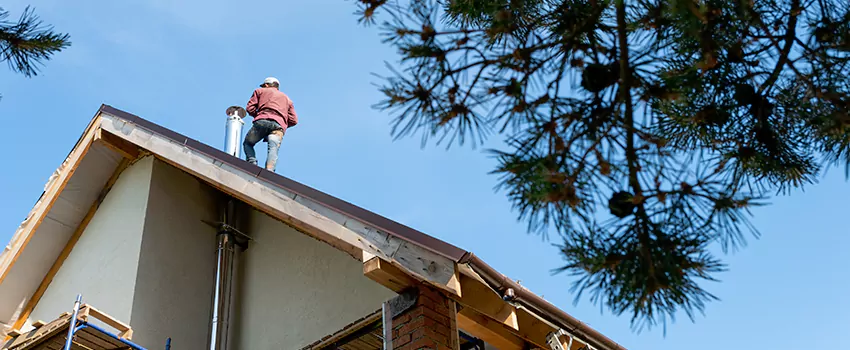 Birds Removal Contractors from Chimney in Calverton, MD