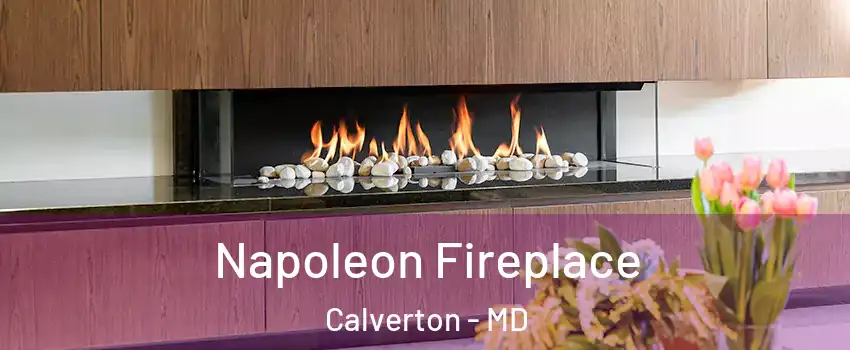  Napoleon Fireplace Calverton - MD